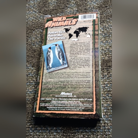 WILD ABOUT ANIMALS VHS TAPES - Picture 13 of 16